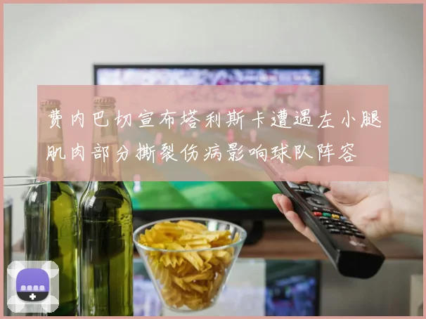 费内巴切宣布塔利斯卡遭遇左小腿肌肉部分撕裂伤病影响球队阵容