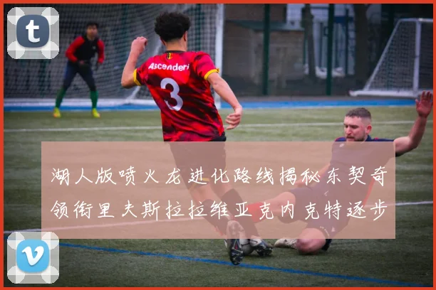 湖人版喷火龙进化路线揭秘东契奇领衔里夫斯拉拉维亚克内克特逐步崛起