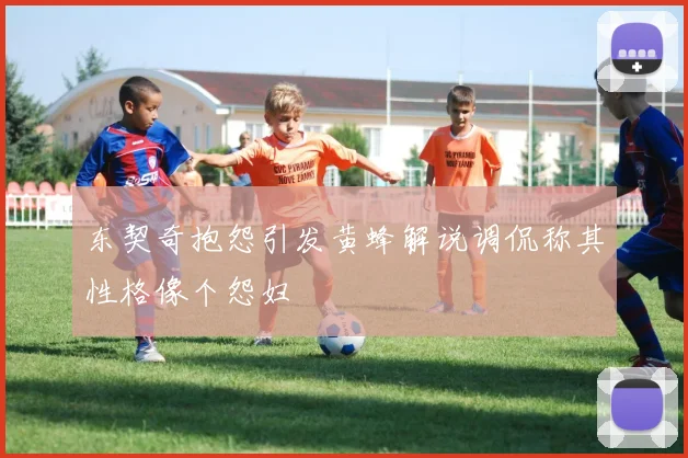 东契奇抱怨引发黄蜂解说调侃称其性格像个怨妇